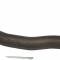 Proforged Left Outer Tie Rod End 104-10307