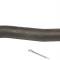 Proforged 1999-2004 Jeep Grand Cherokee Right Outer Tie Rod End 104-10245